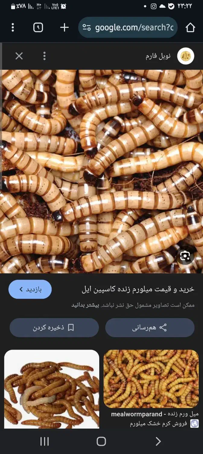 فروش کرم میلورم|لوازم جانبی حیوانات|جهرم, |دیوار
