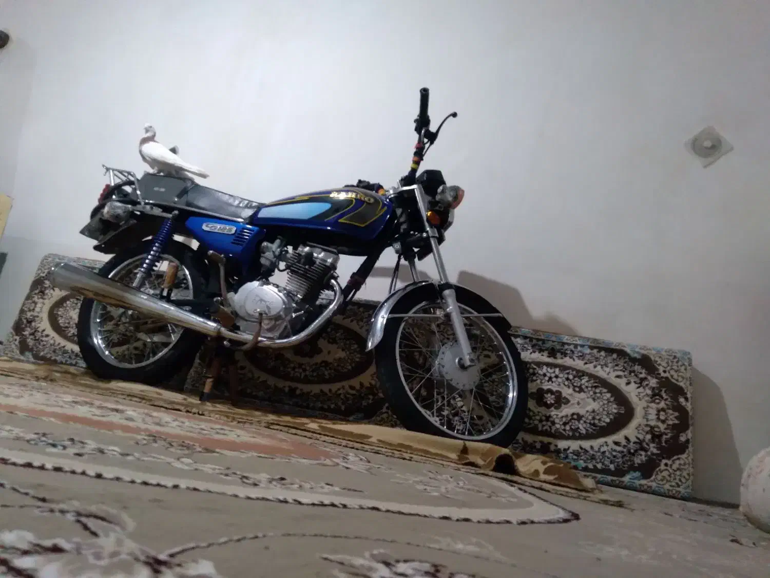 موتور رهرو ۱۲۵|موتورسیکلت|فامنین, |دیوار