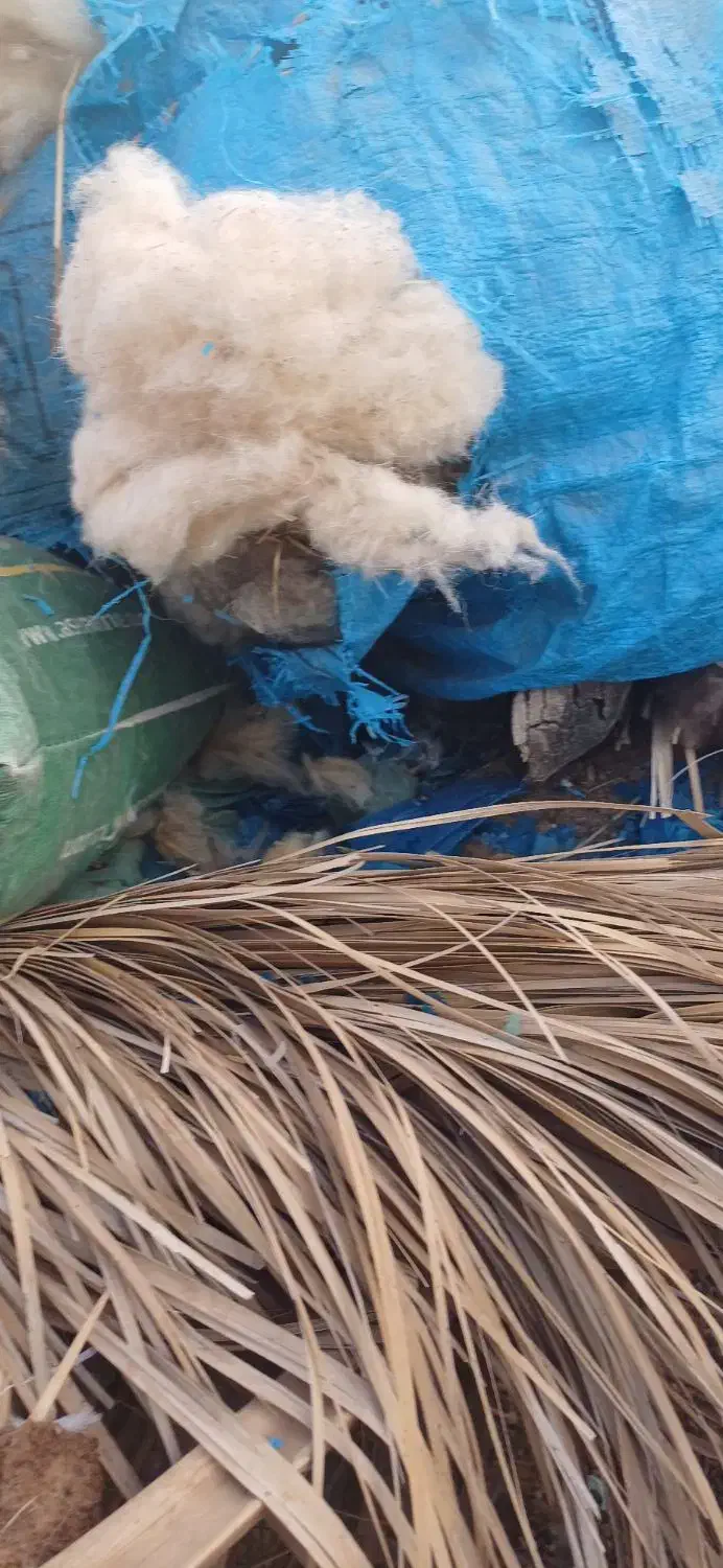 پشم|رختخواب، بالش، پتو|عنبرآباد, |دیوار