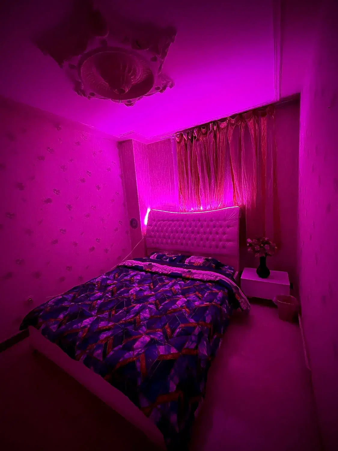 اجاره سوئیت روزانه|اجارهٔ کوتاه‌مدت آپارتمان و سوئیت|پرند, فاز ۱|دیوار