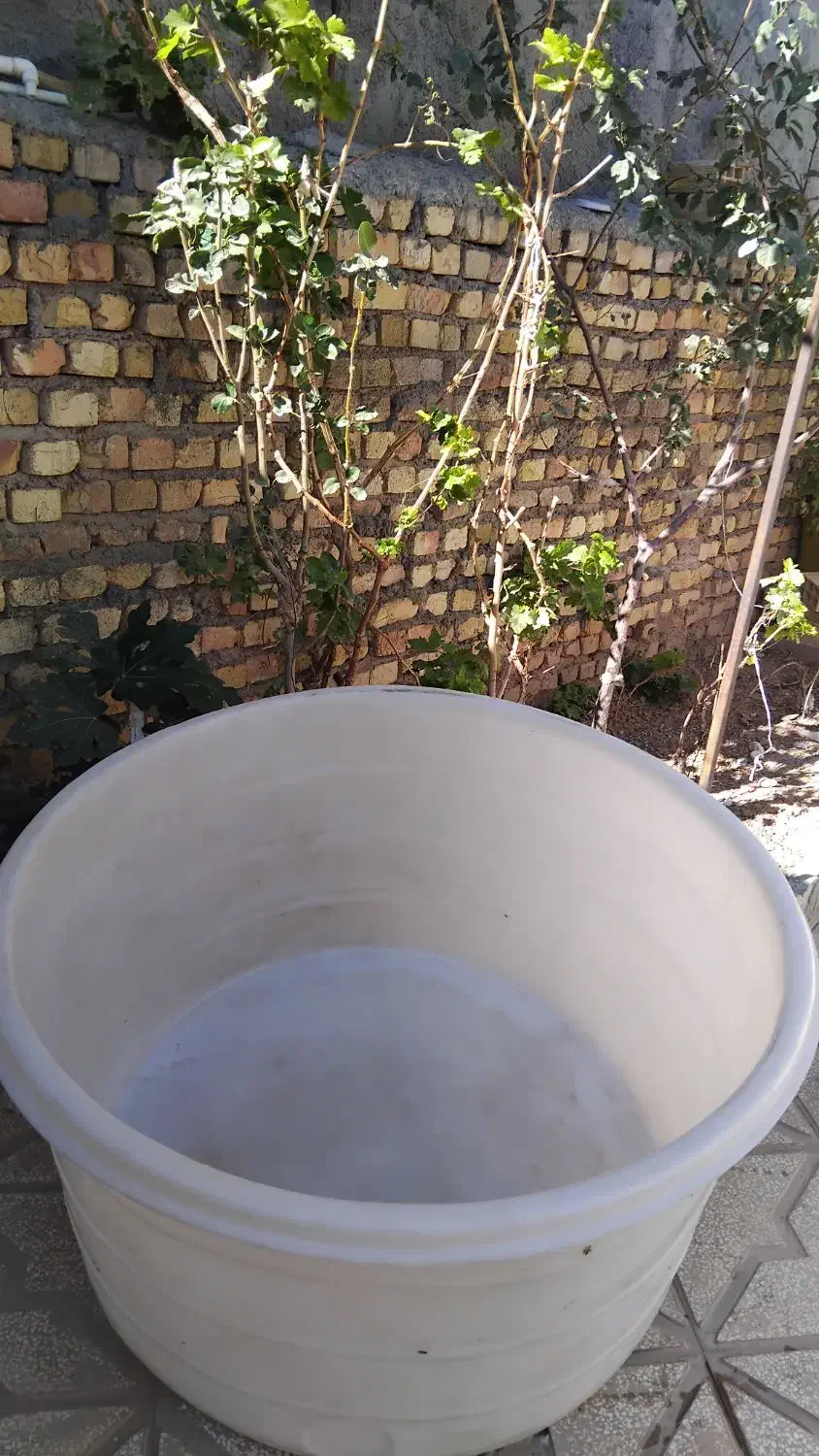 وان بزرگ|اسباب و اثاث بچه|اسفراین, |دیوار