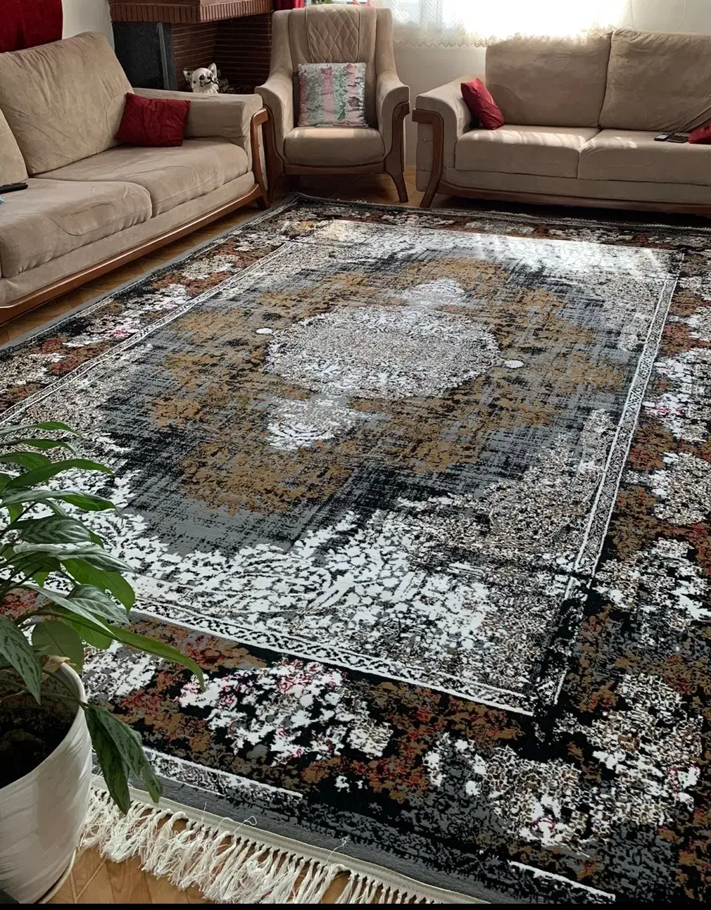 مبل|مبلمان خانگی و میز عسلی|کلاچای, |دیوار