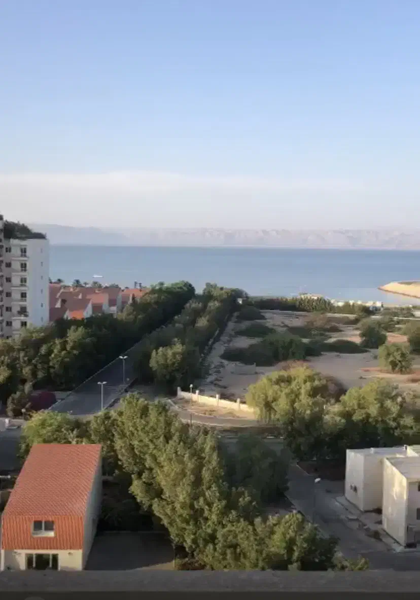 یک عدد عینک طبی پیدا شده|اشیا|کیش, |دیوار