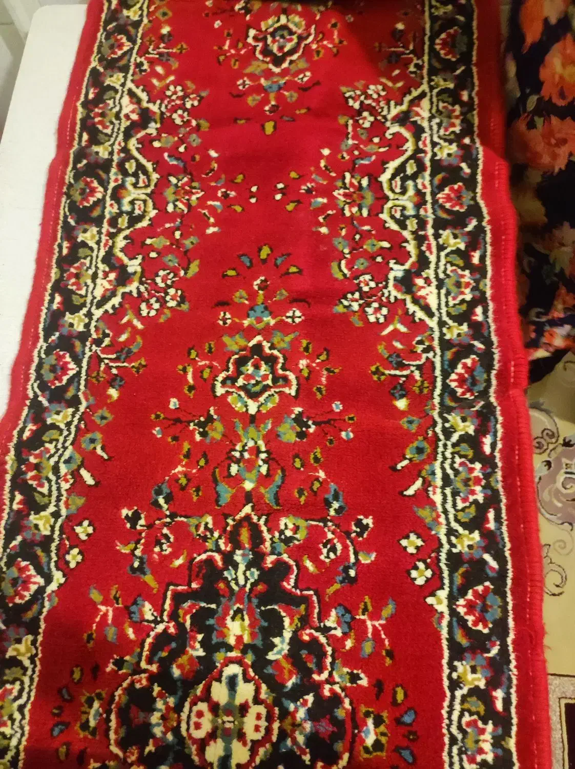 کناره فرش سالم|فرش|نهاوند, |دیوار