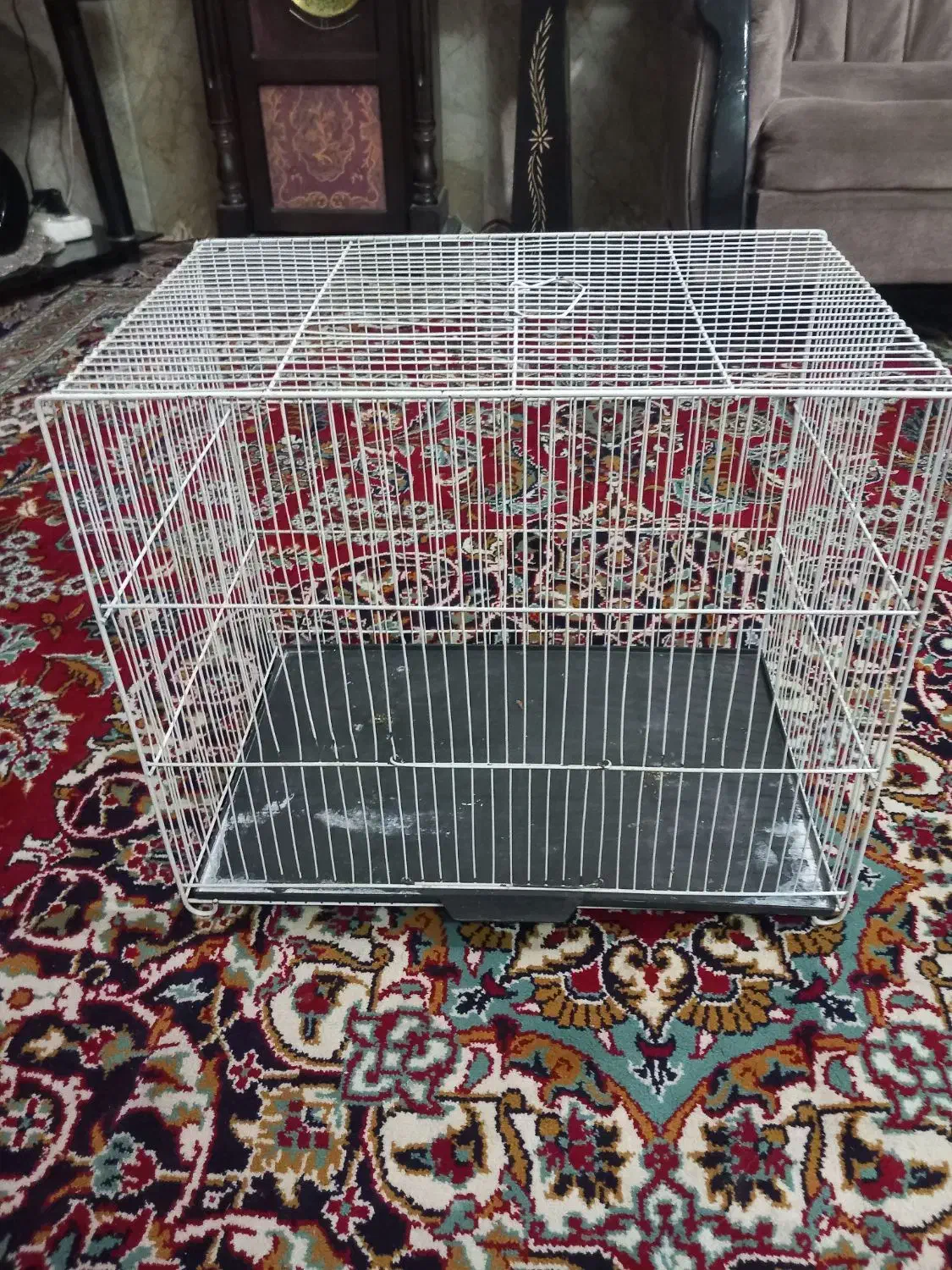 قفس|لوازم جانبی حیوانات|مشهد, امیر|دیوار