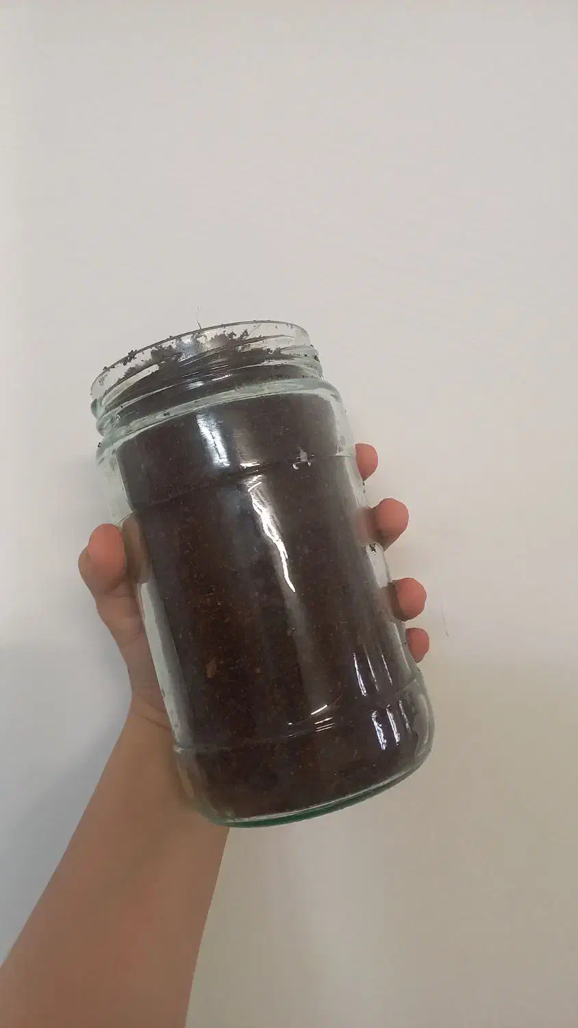 خاک کوکوپیت حراجه|گل و گیاه طبیعی|قم, یزدان‌شهر|دیوار