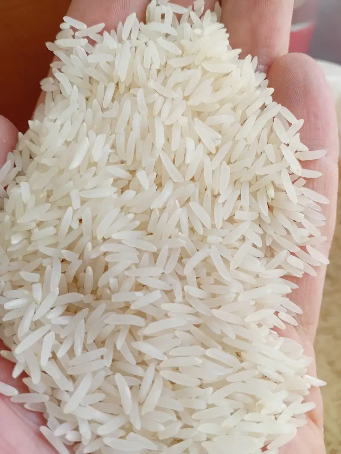 پخش عمده برنج فجر گلستان|خوردنی و آشامیدنی|اصفهان, پزوه|دیوار