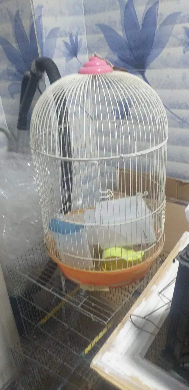 فروش انواع قفس قناری،مرغ عشق و عروس هلندی|لوازم جانبی حیوانات|میانه, |دیوار