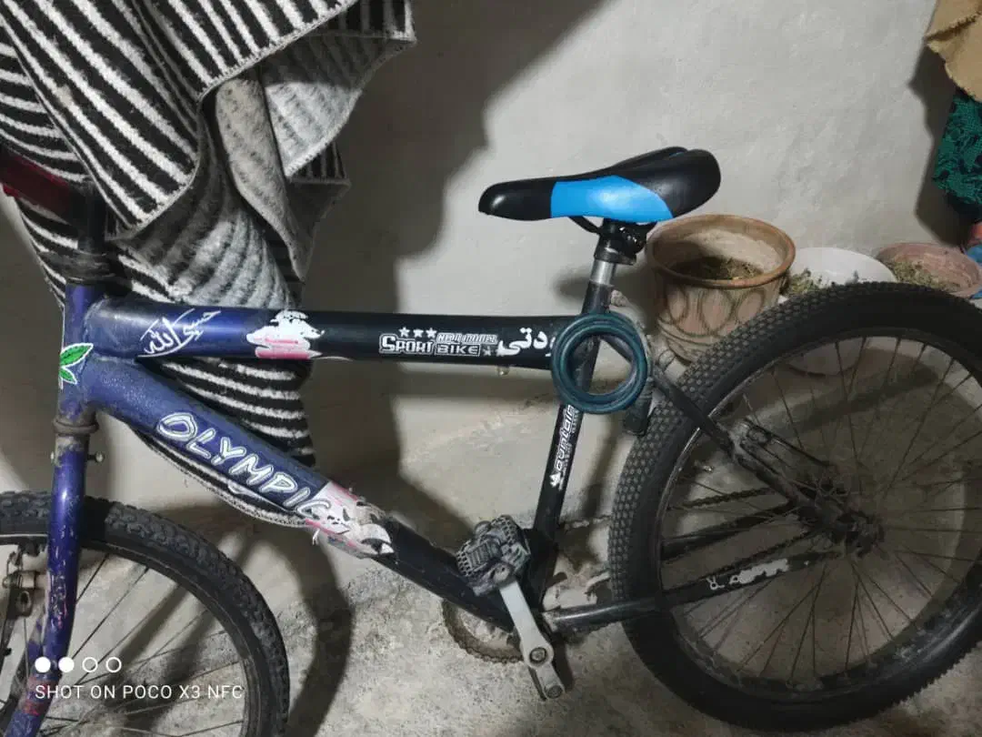 دوچرخه 24|دوچرخه، اسکیت، اسکوتر|امیدیه, |دیوار