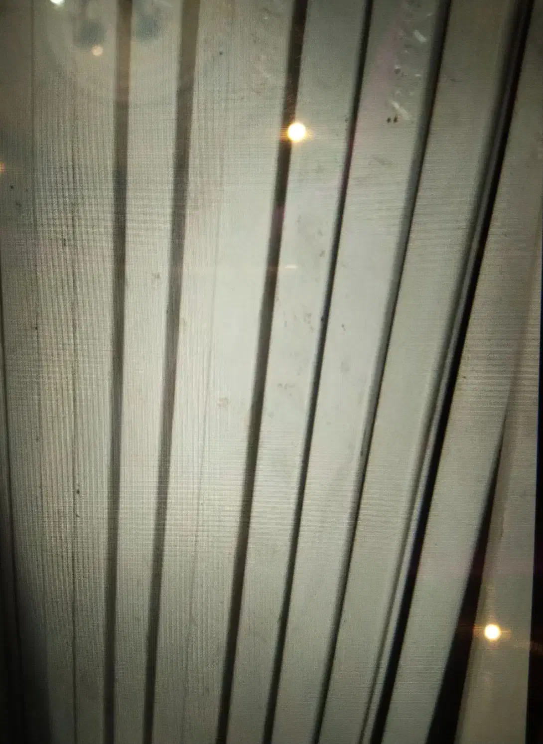 قفسه خود ایستاده|فروشگاه و مغازه|رضوانشهر, |دیوار