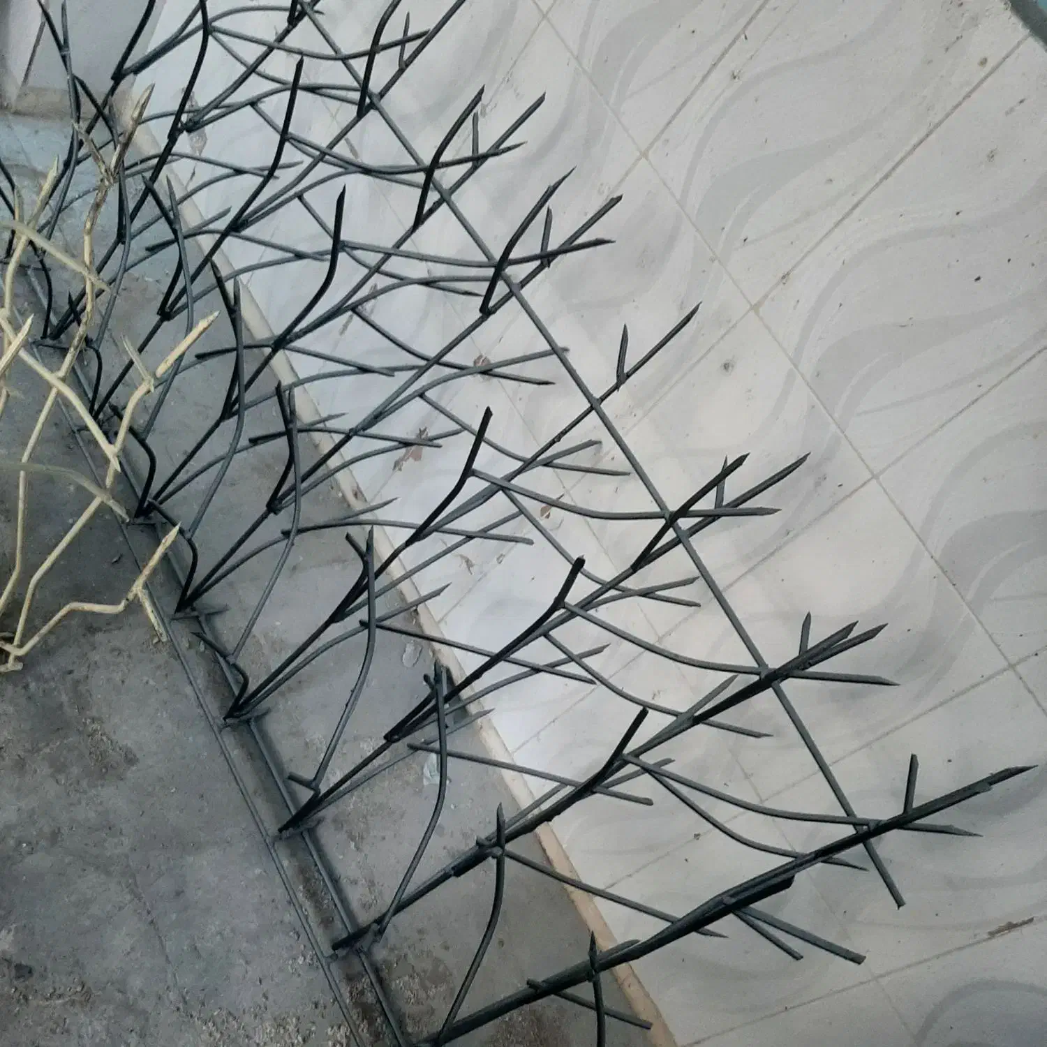 تولید شاخ گوزی|خدمات پیشه و مهارت|تبریز, |دیوار