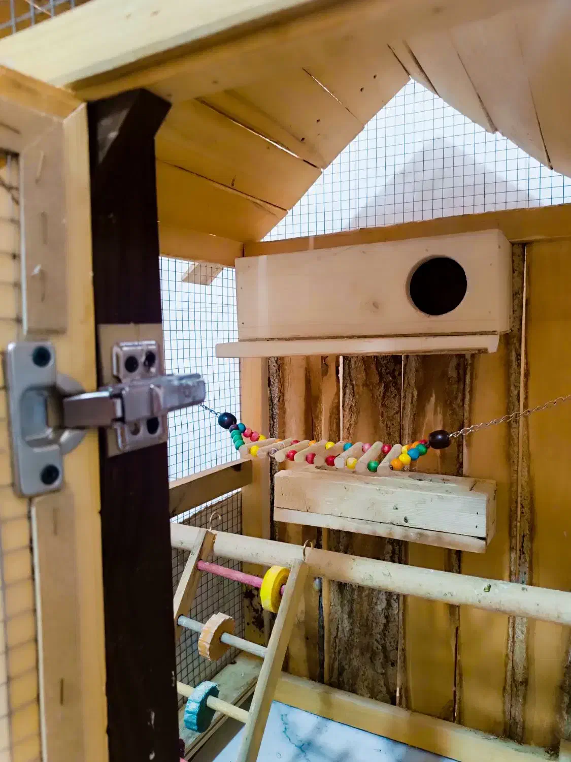 قفس چوبی|لوازم جانبی حیوانات|شیراز, شهرک والفجر|دیوار