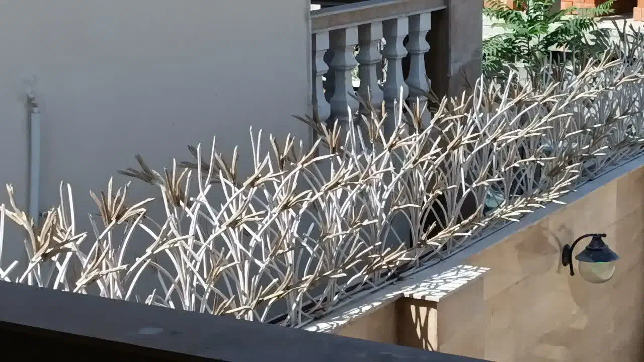 پخش شاخ گوزنی|مصالح و تجهیزات ساختمان|آمل, |دیوار