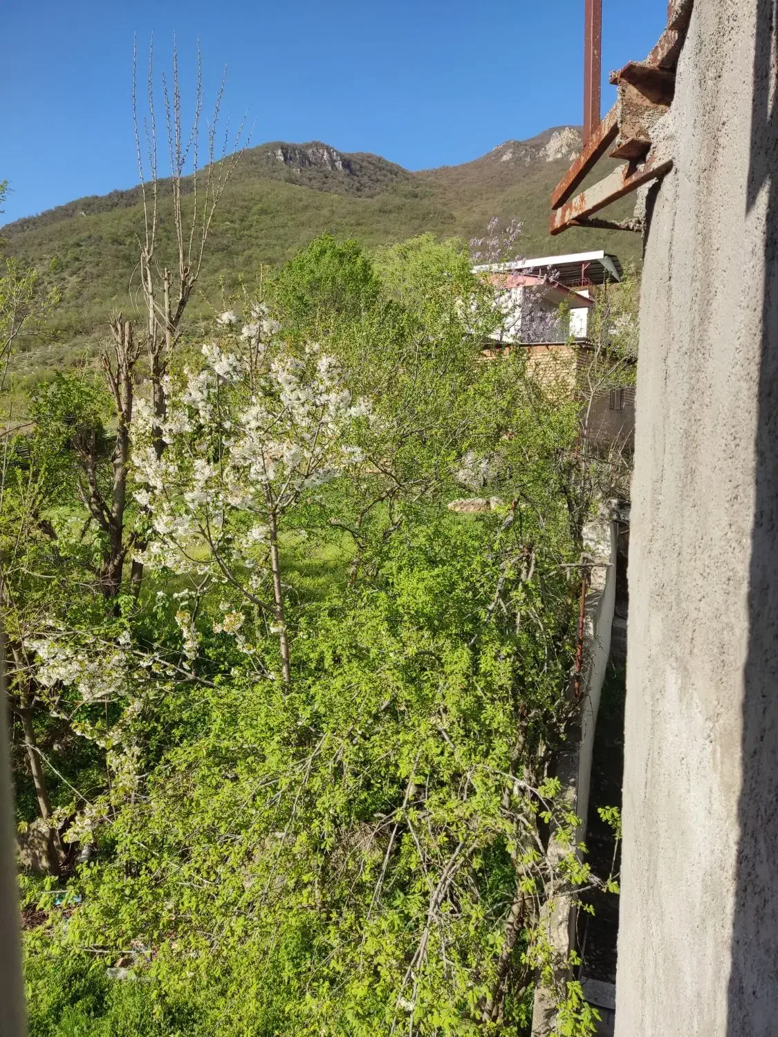 خط روند 09125752018|سیم‌کارت|گرگان, |دیوار