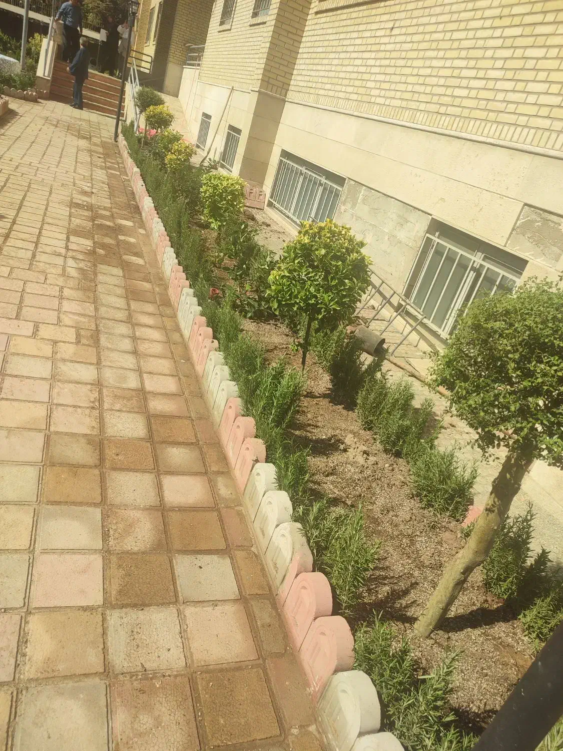 خدمات باغبانی احمدی سرویس به تمام نقاط تهران|خدمات باغبانی و درختکاری|تهران, شهرک غرب|دیوار