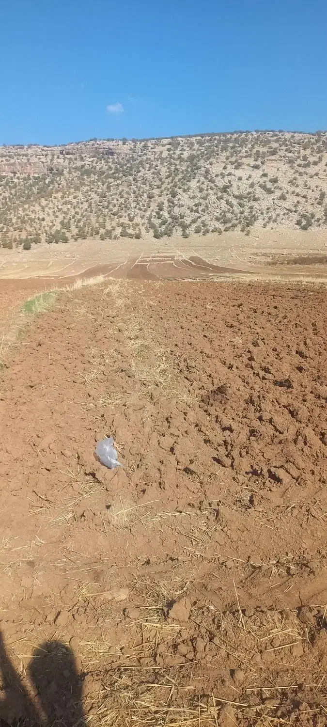 زمین کشاورزی آسمان اباد|فروش زمین و ملک کلنگی|چرداول, |دیوار