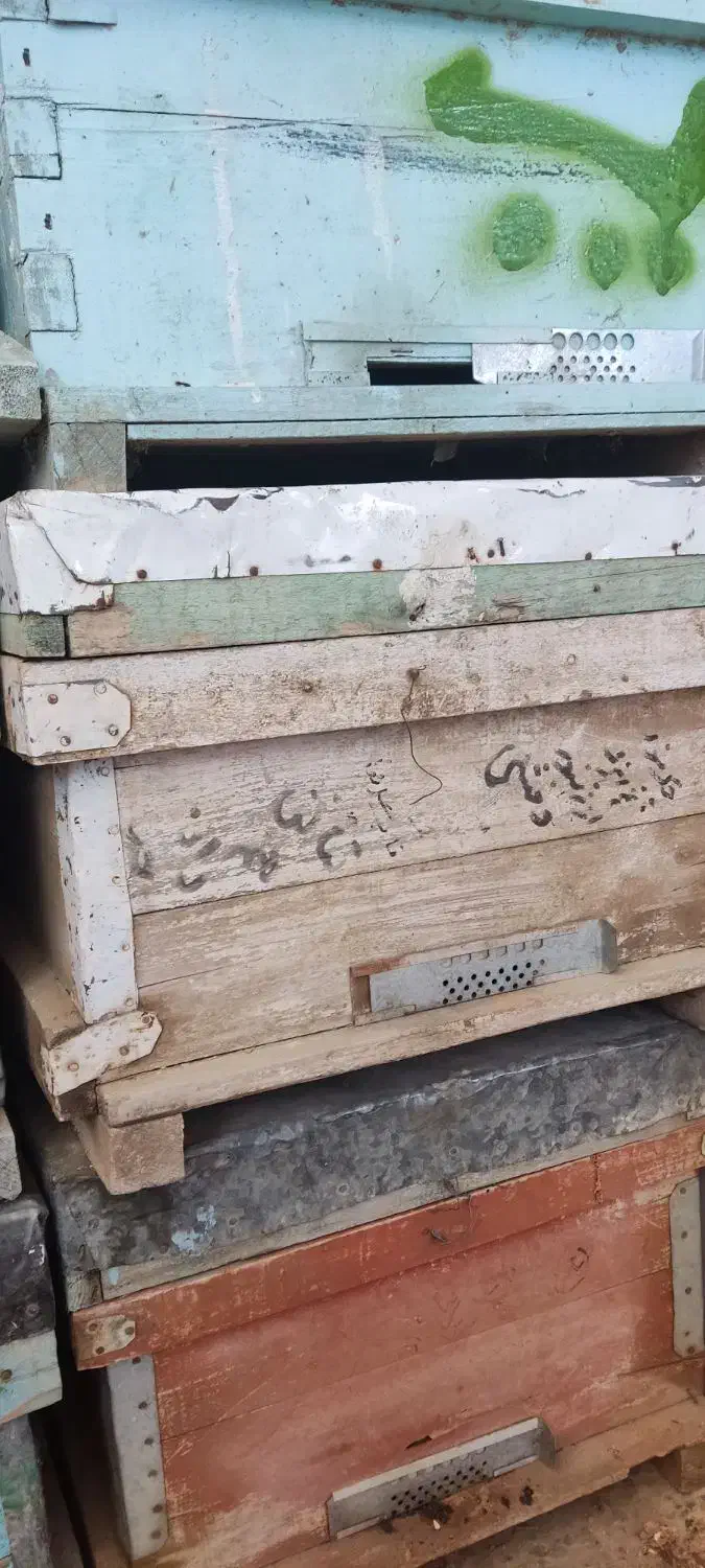 فروش کندو|لوازم جانبی حیوانات|گتوند, |دیوار