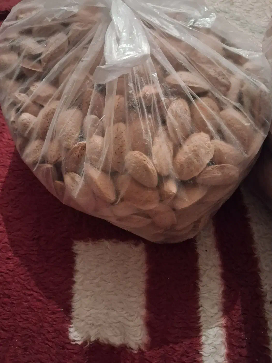 گردو و بادام|خوردنی و آشامیدنی|سراوان, |دیوار