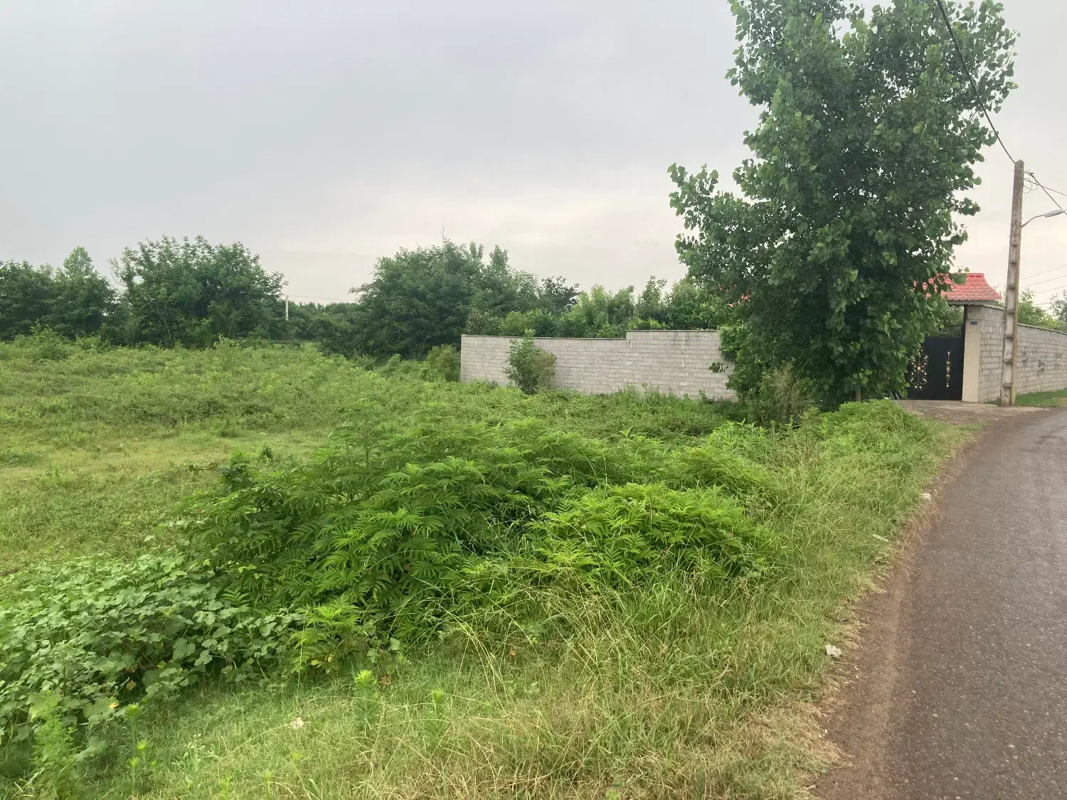 زمین مسکونی باغی 8600 متری مناسب شهرک سازی|فروش زمین و ملک کلنگی|خشکبیجار, |دیوار