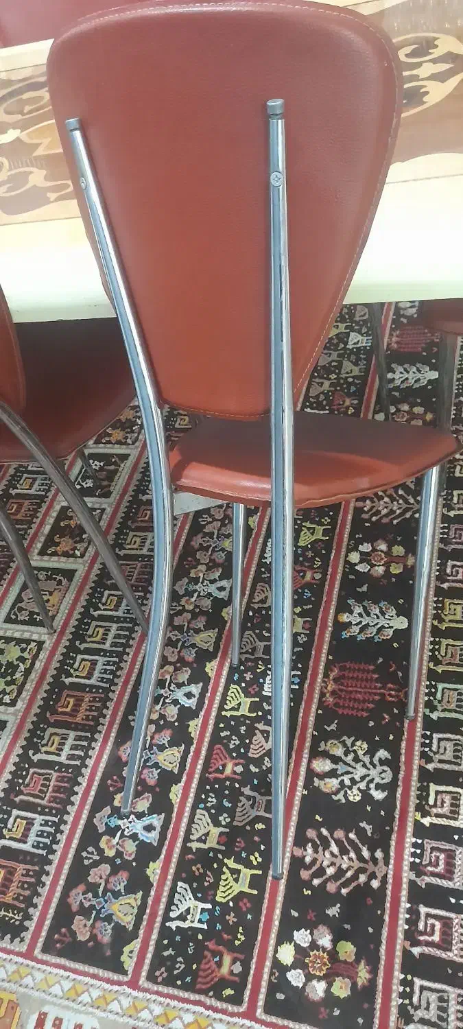 میزوصندلی۶نفره نونو|میز و صندلی غذاخوری|یاسوج, |دیوار