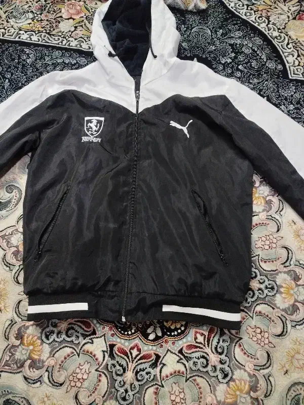 کاپشن|لباس|اصفهان, حصه جنوبی|دیوار