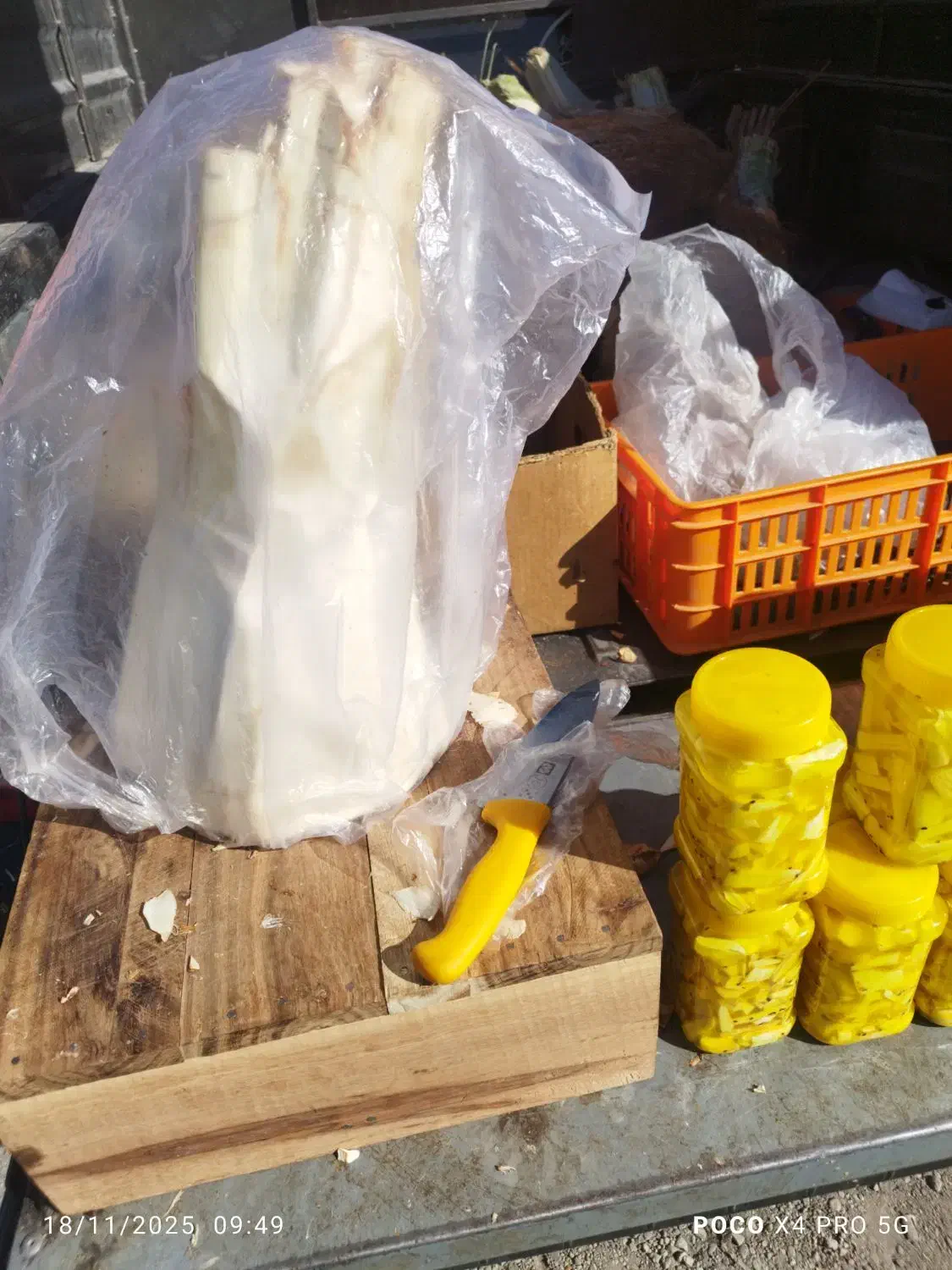 پنیر نخل شیرین .بمب انرژی|خوردنی و آشامیدنی|شیراز, رکنآباد|دیوار