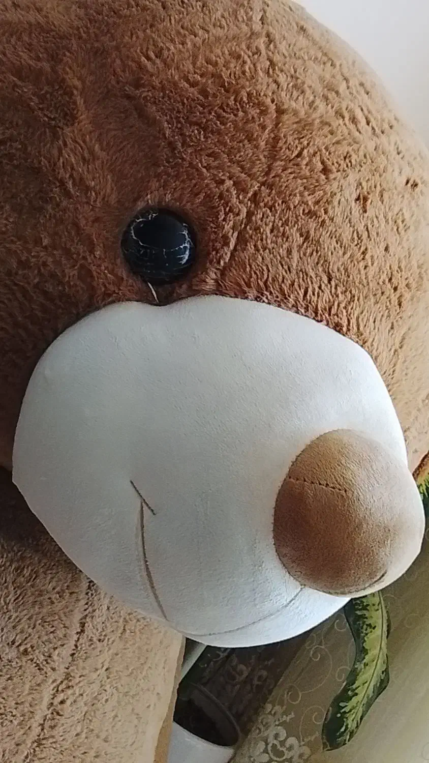 دیجی کالا خرس|کلکسیون و سرگرمی|کرمان, |دیوار