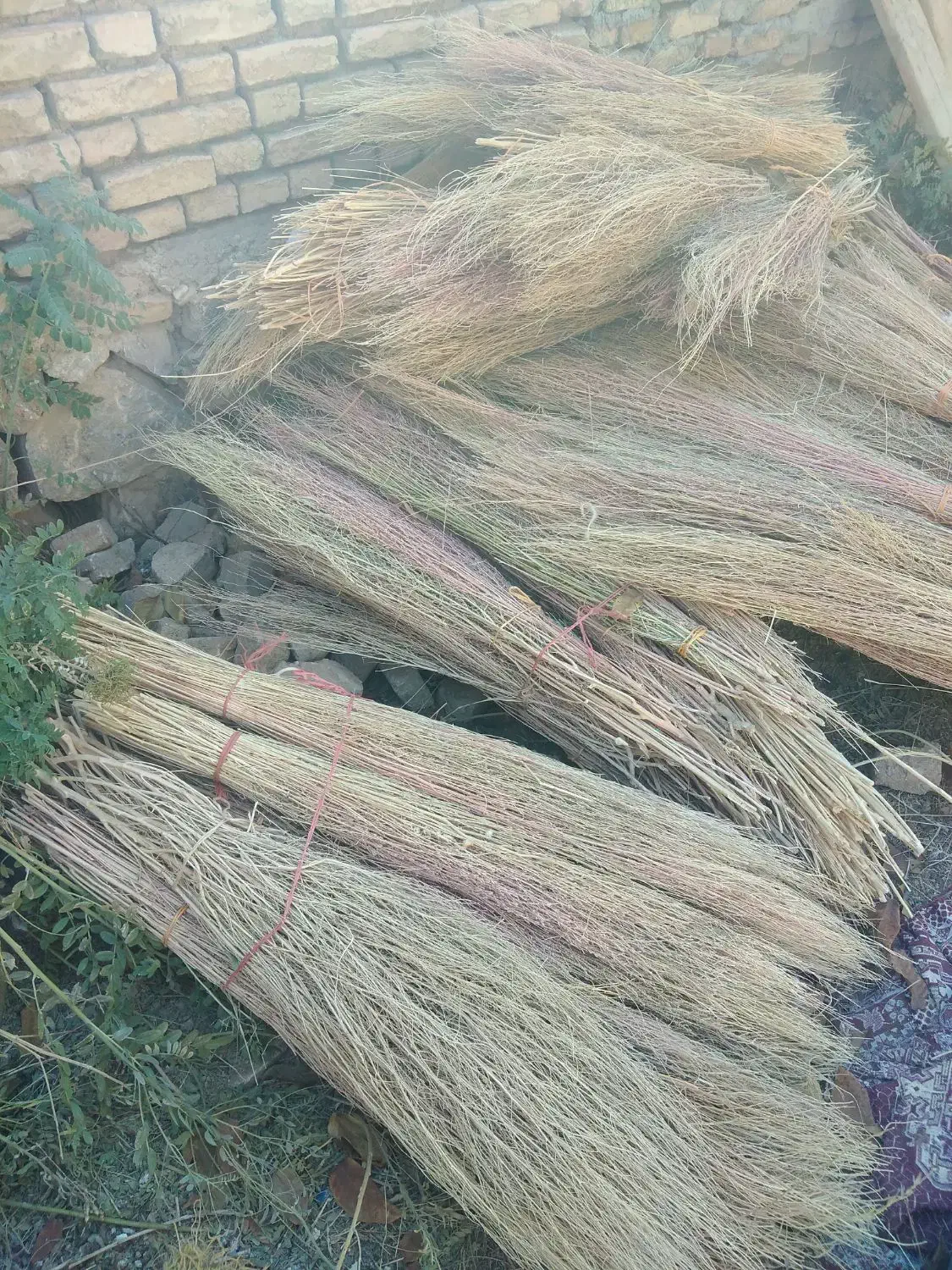 جارو باغی|لوازم نظافت|لاران, |دیوار