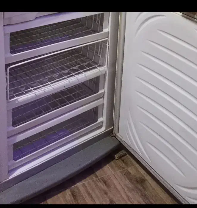 یخچال سالم|یخچال و فریزر|تربت جام, باغ سنگان سفلی|دیوار