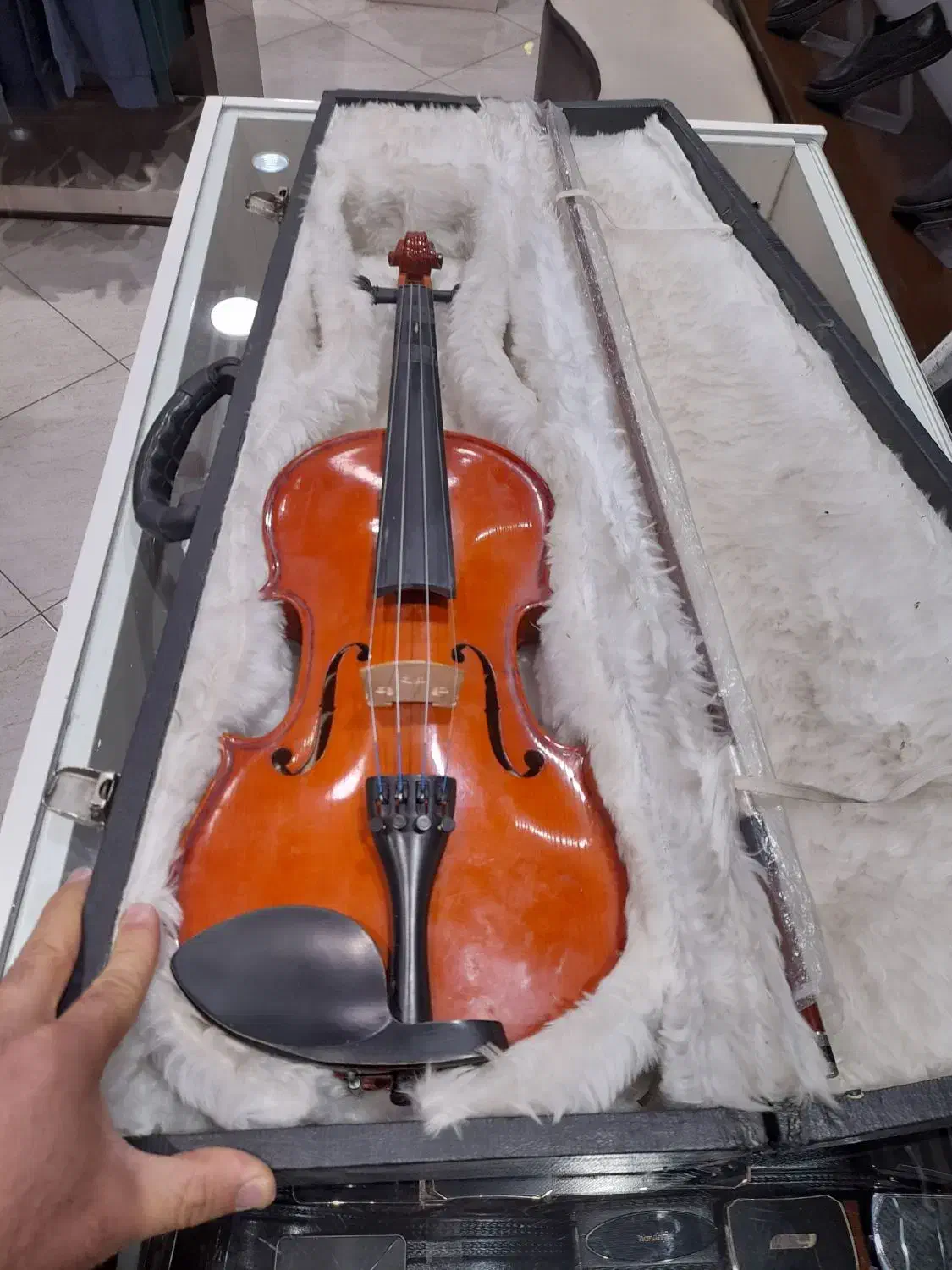 ویلن|ویولن|دورود, |دیوار