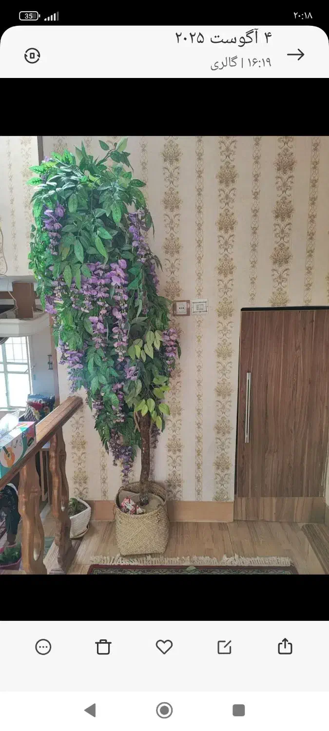 گل اقاقیا بنفش|گل مصنوعی|شیراز, جانبازان|دیوار