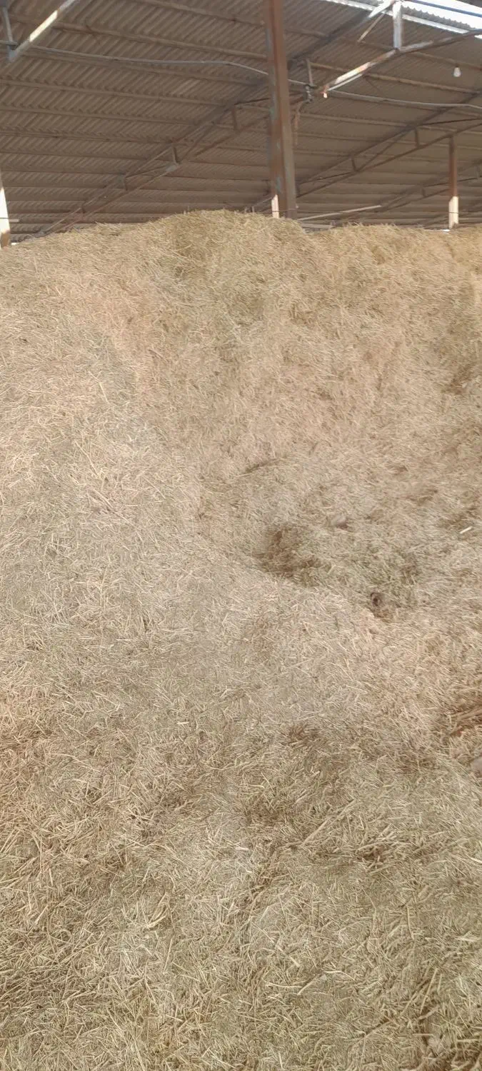 کاه یونجه|لوازم جانبی حیوانات|جیرفت, |دیوار