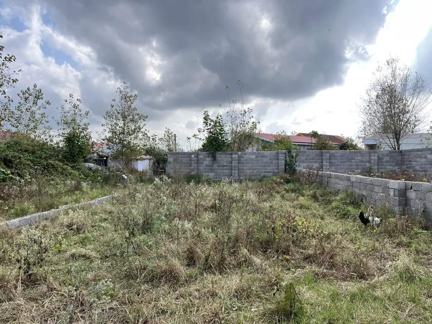 زمین۲۷۰مترمسکونی/مدارک سندتکبرگ/اشمان کماچال|فروش زمین و ملک کلنگی|آستانه اشرفیه, |دیوار