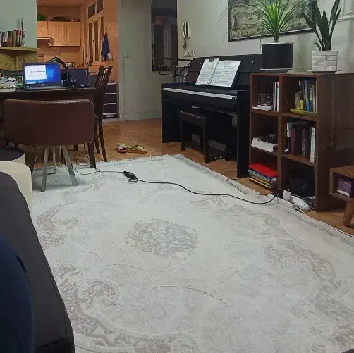 فرش ۶ متری مرینوس نو|فرش|شیراز, کوی آزادگان|دیوار