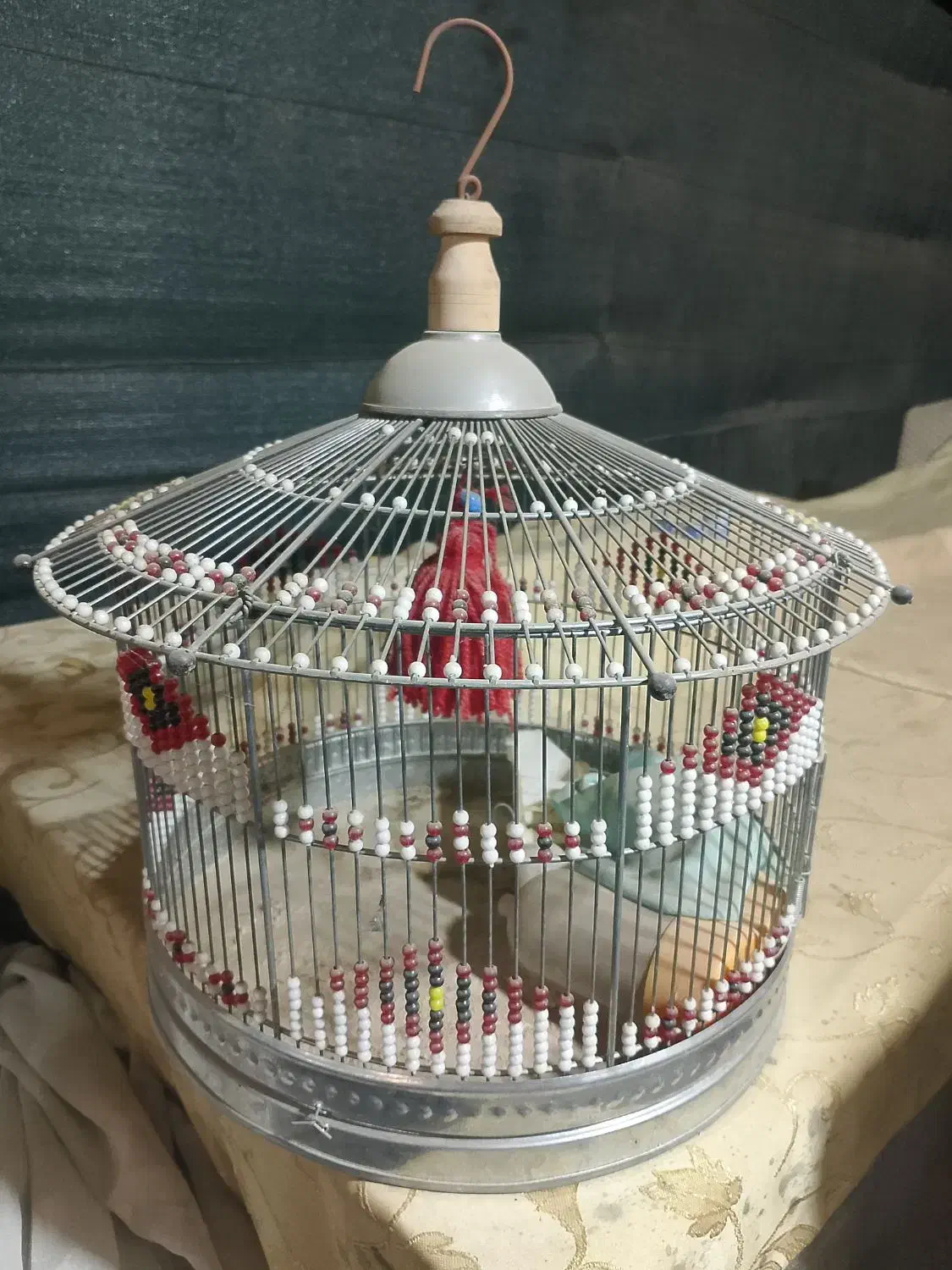 قفس پرنده|لوازم جانبی حیوانات|چهارباغ, |دیوار