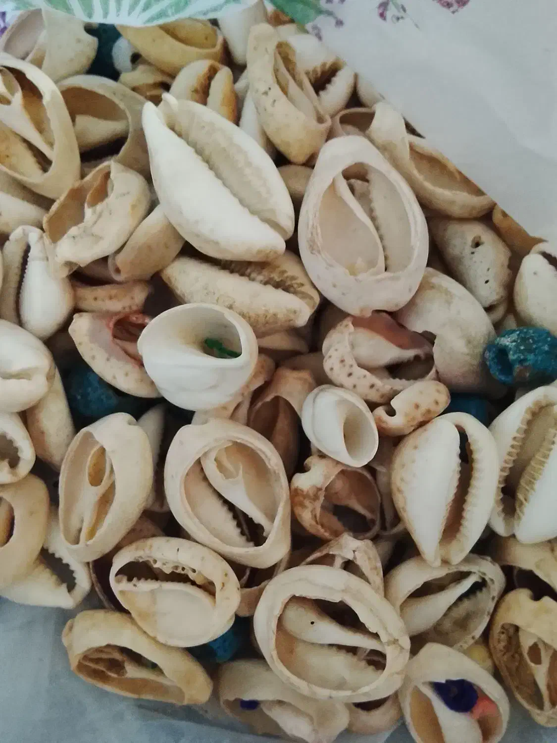 شروک|صنایع دستی و سایر لوازم تزئینی|جیرفت, |دیوار