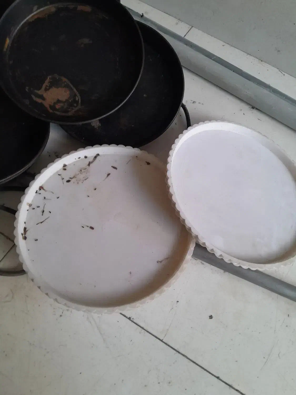 قالب پیتزا|کافیشاپ و رستوران|تهران, هفت چنار|دیوار