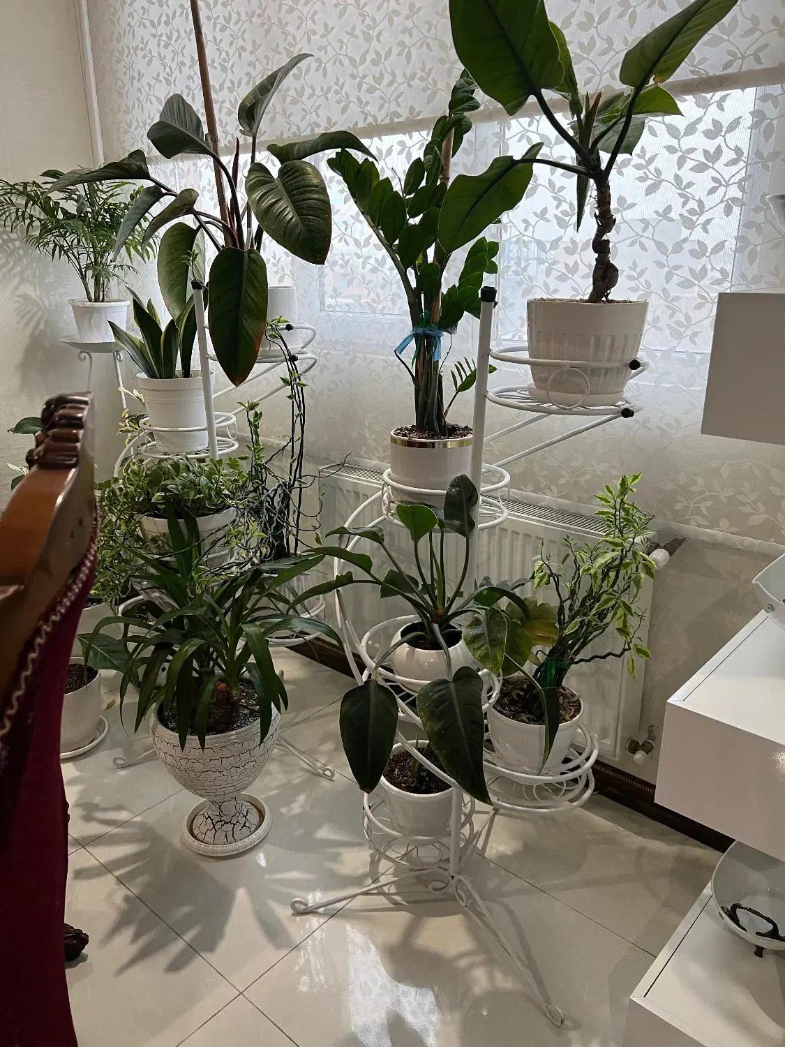 سه تا استند گلدان به همراه گلدان ها همگی سالم|گل و گیاه طبیعی|تهران, مشیریه|دیوار