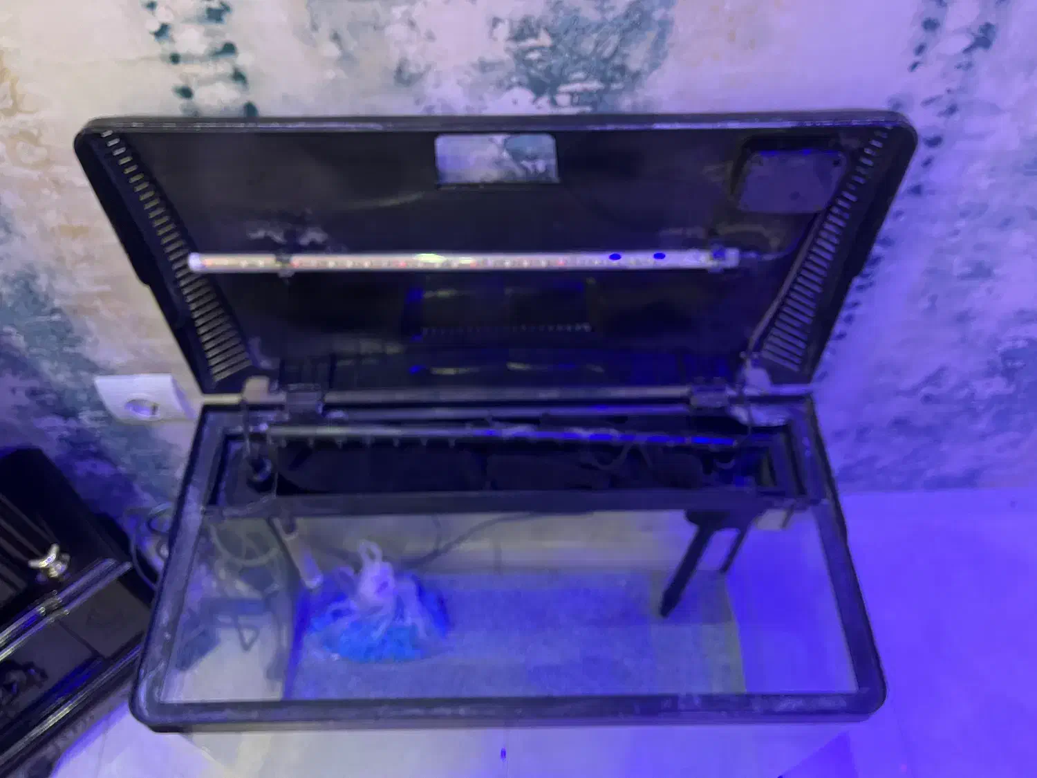 آکواریوم شرکتی ماهیران با کلیه تجهیزات|ماهی|اهواز, رسالت|دیوار