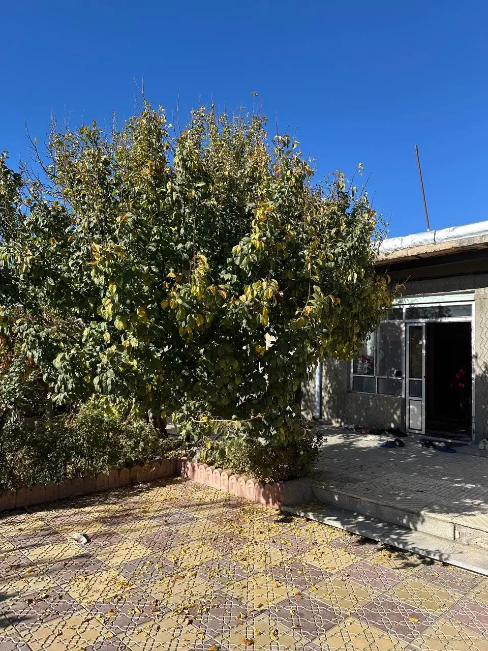 باغ|فروش خانه و ویلا|خواجه, |دیوار