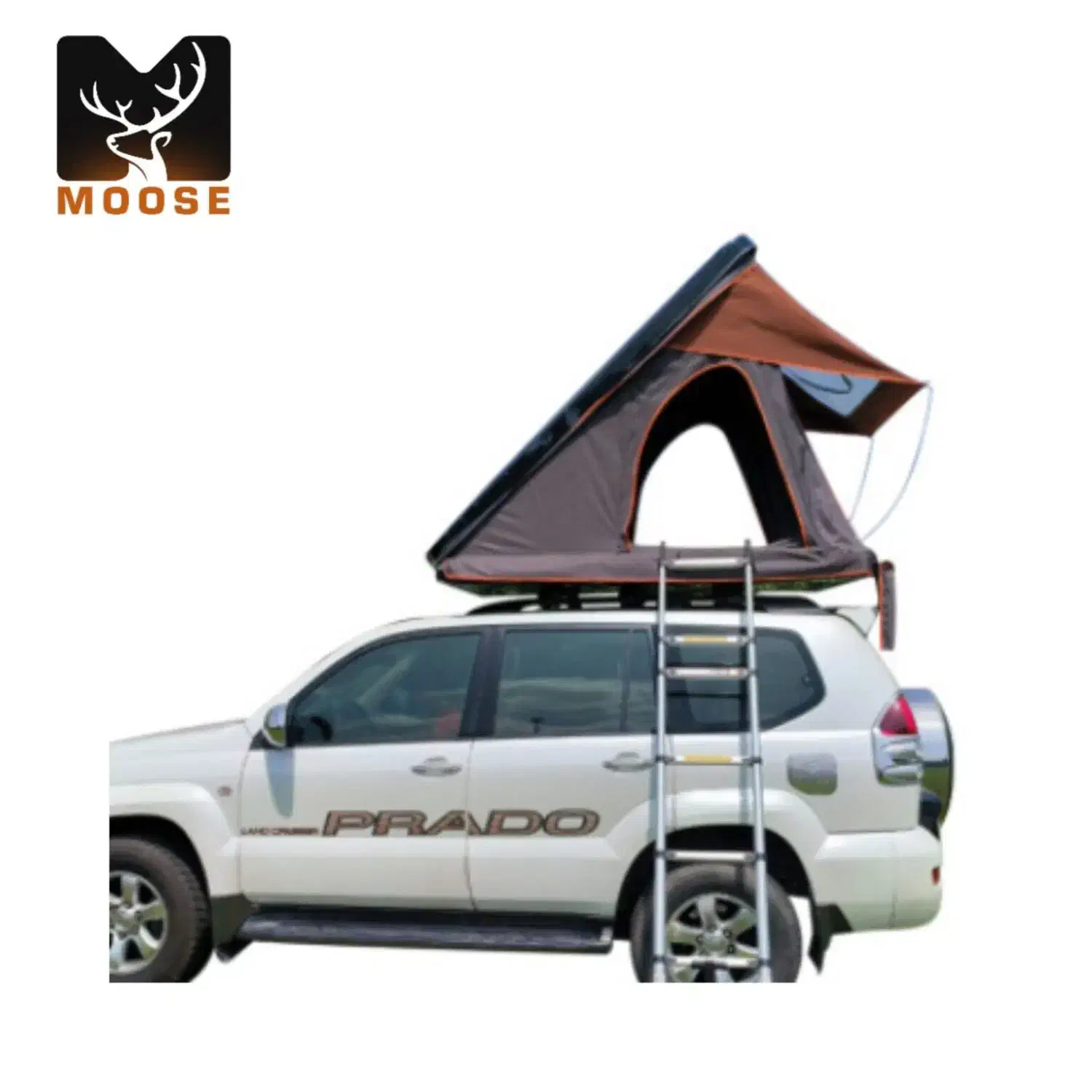 چادر سقفی|کوهنوردی و کمپینگ|تبریز, |دیوار