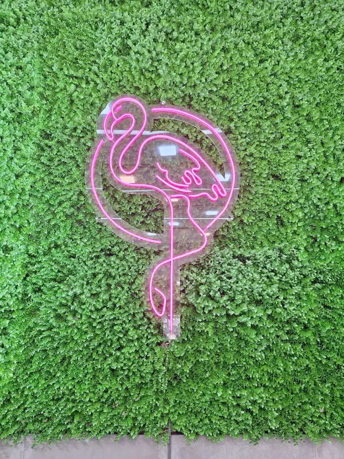 نئون فلامینگو|ریسه و چراغ تزئینی|کرمانشاه, |دیوار