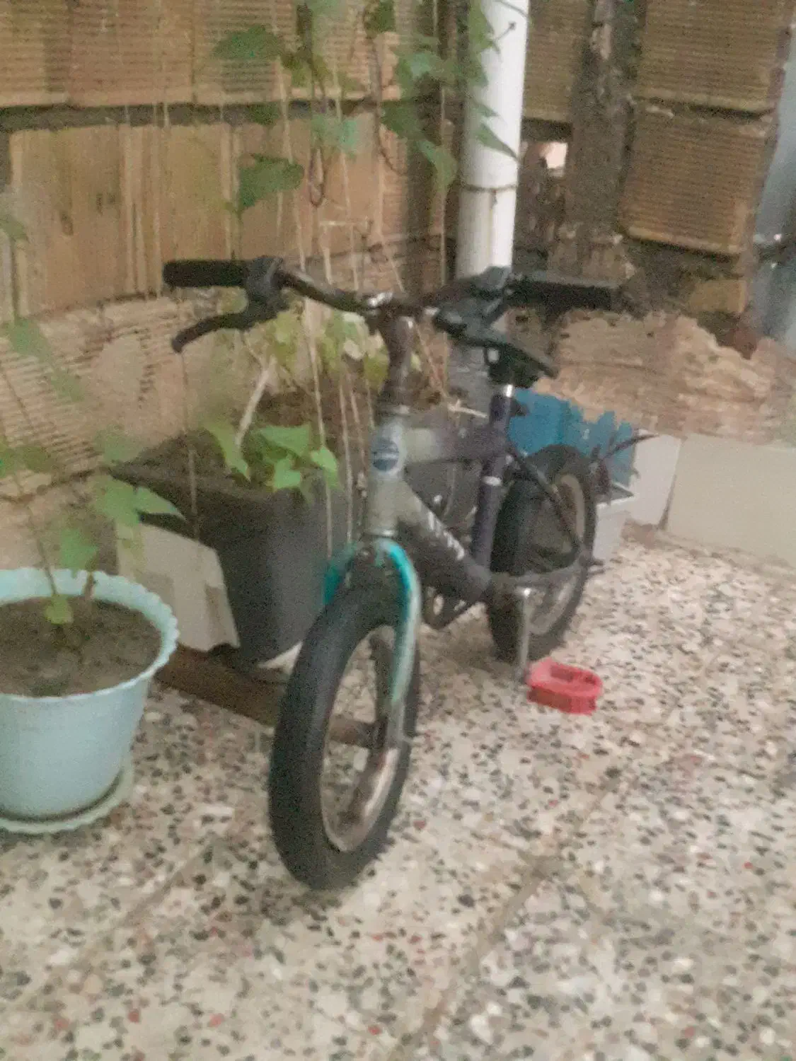 دوچرخه 12|دوچرخه، اسکیت، اسکوتر|اندیمشک, |دیوار