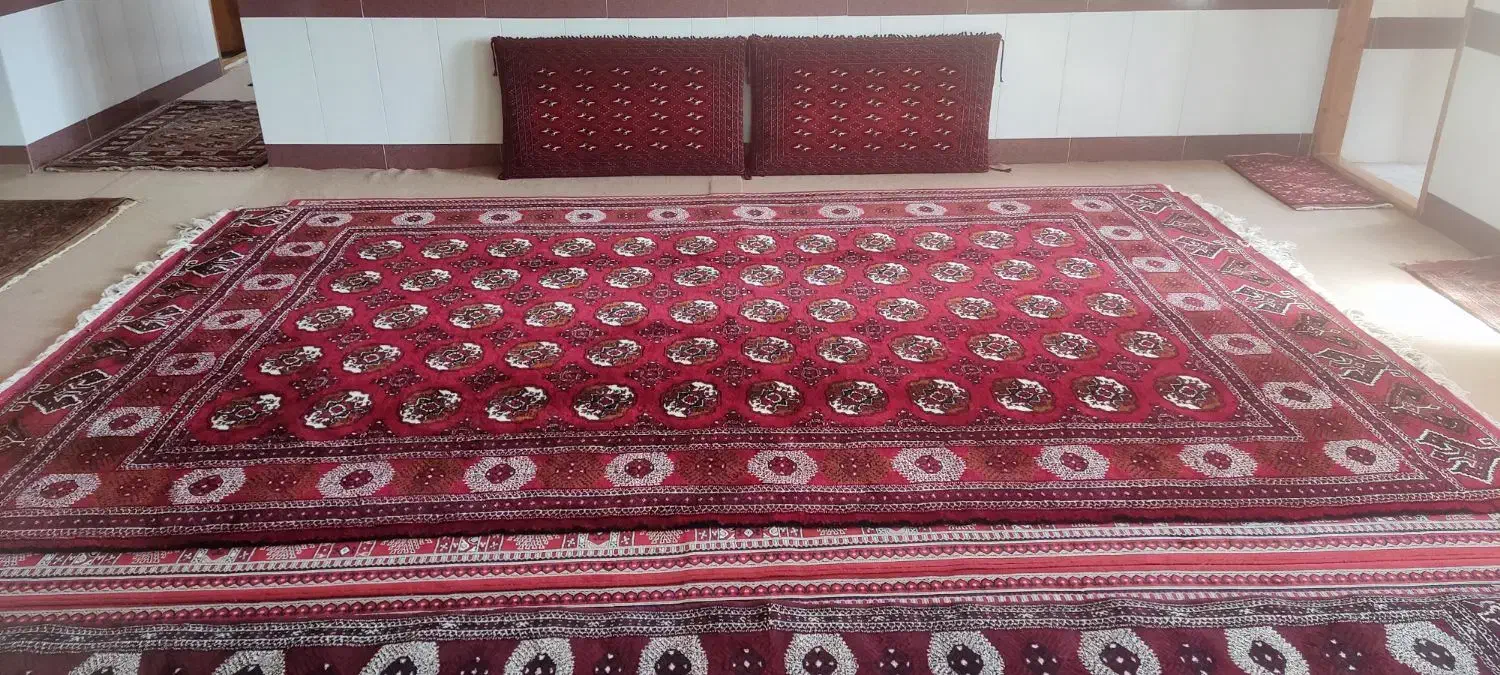 قالی دست بافت|فرش|آق قلا, |دیوار