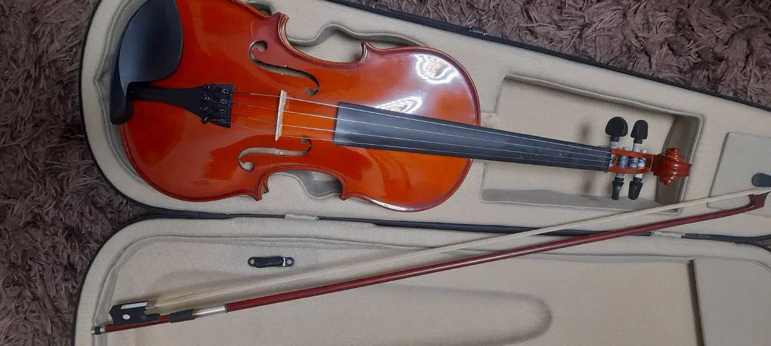 ویالون ۴/۴|ویولن|بروجرد, |دیوار