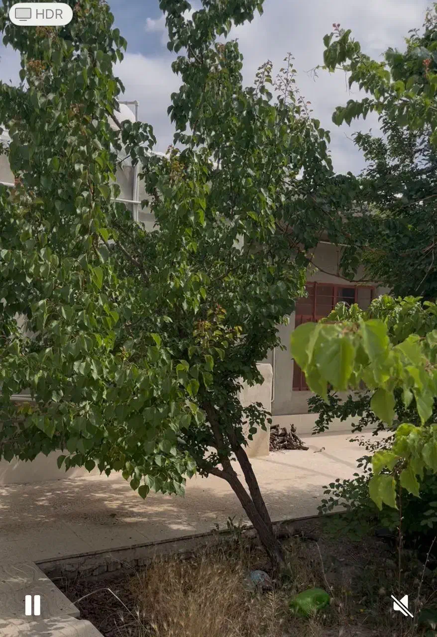 فروش خونه باغ|فروش خانه و ویلا|بافت, |دیوار