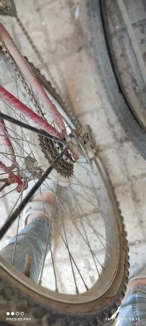 دوچرخه۲۴|دوچرخه، اسکیت، اسکوتر|مشهد, مهدی آباد (بلوار توس)|دیوار