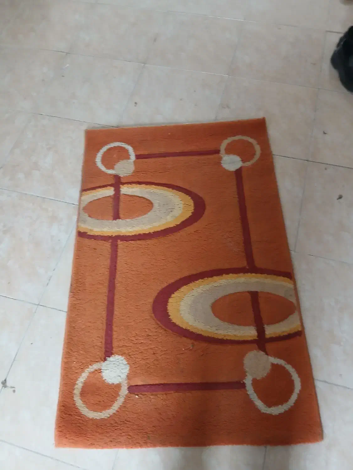 دو عدد فرش|فرش|اردبیل, |دیوار