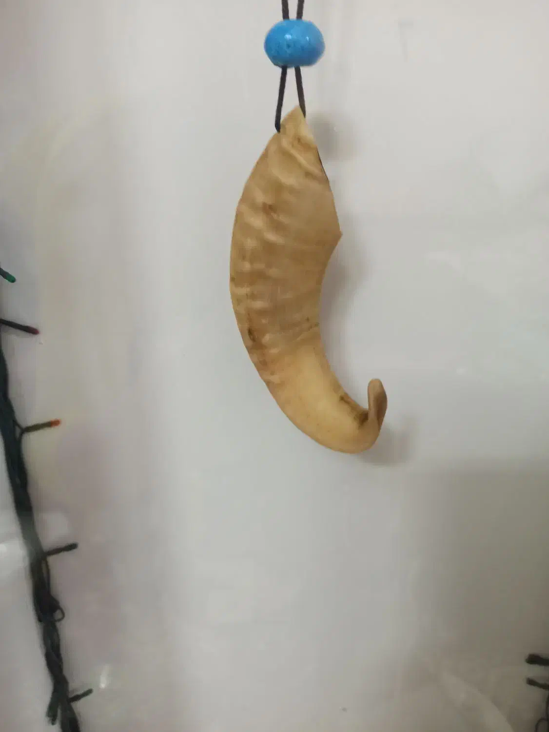 شاخ قوچ|مجسمه، تندیس، ماکت|تهران, منیریه|دیوار