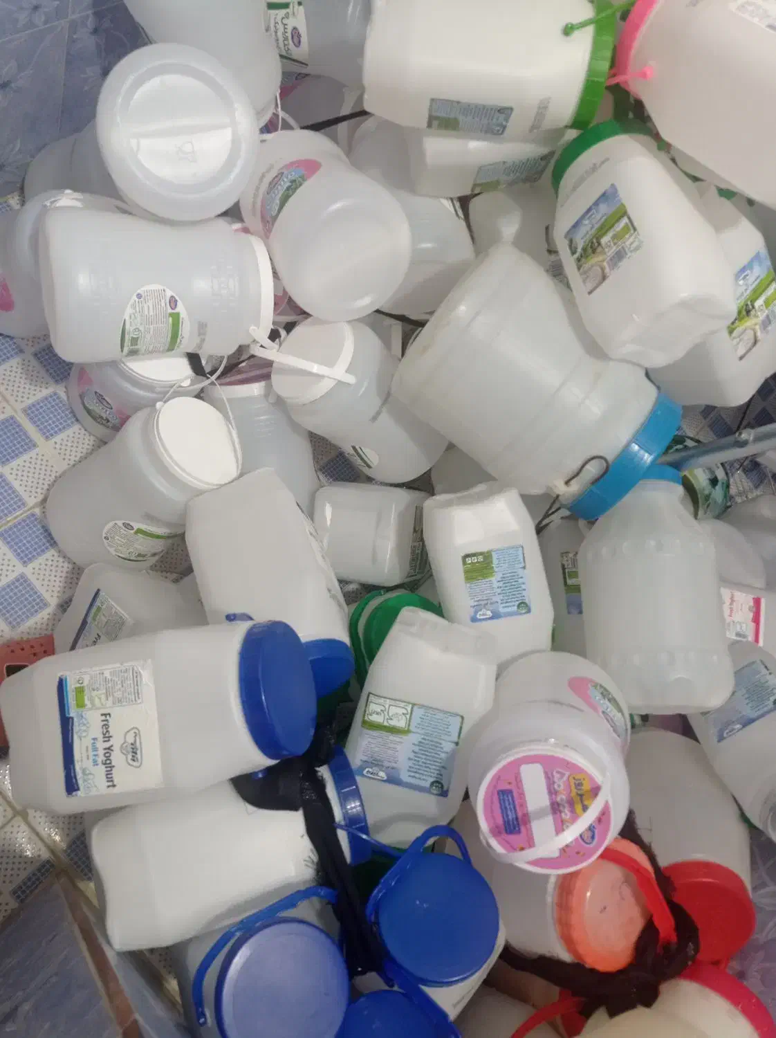 ظرف ماست تر تمیز|ظروف نگهدارنده، پلاستیکی، یک‌بارمصرف|اردبیل, |دیوار